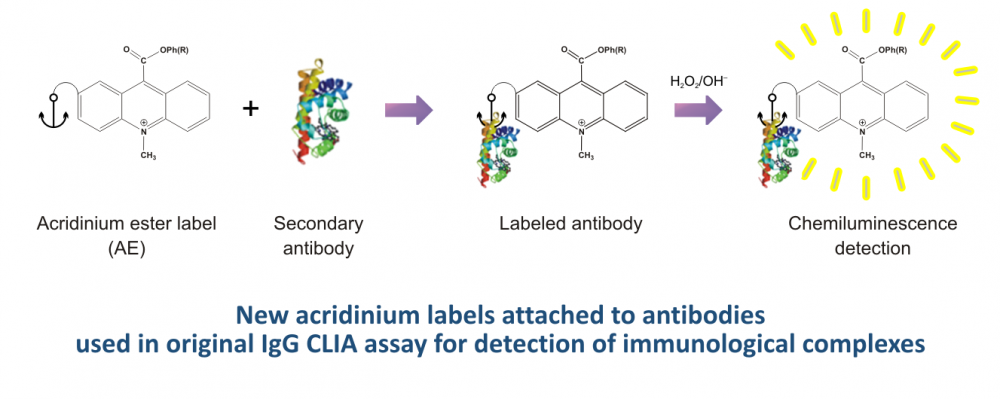 New acridinium labels attached to antibodies used in original IgG CLIA assay for detection of immunological complexes