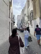 ERASMUS - To leave or not to leave? That is the question!