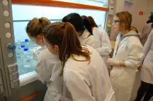 Warsztaty Naukowego Koła Chemików