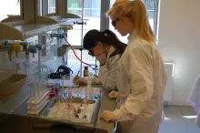 Warsztaty Naukowego Koła Chemików