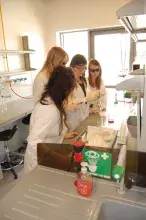Warsztaty Naukowego Koła Chemików