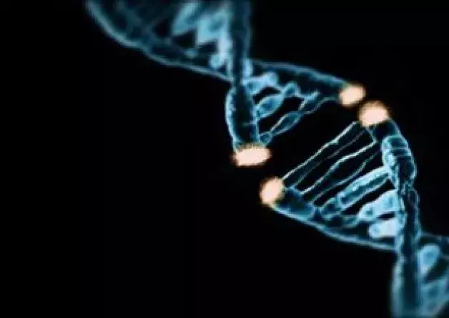 Badania DNA gdańskich naukowców z Uniwersytetu Gdańskiego, Politechniki Gdańskiej oraz Gdańskiego…