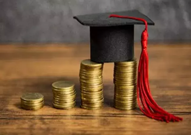 Postdoctoral position for a junior scientist in…