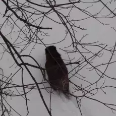 Widoki zza okna, grudzień 2010