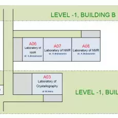 Basment Layout