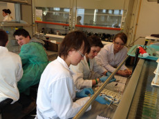 Warsztaty laboratoryjne luty 2014
