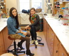 Laboratory 45 in 2010