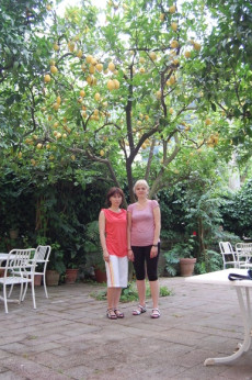 Patio przy hotelu. 