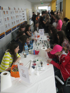 XIII BFN na WCH